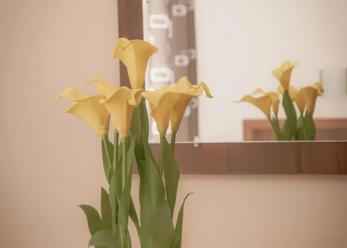 Grenada Слънчев бряг